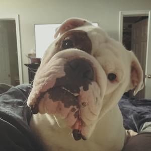 Meet your Posher, Krista